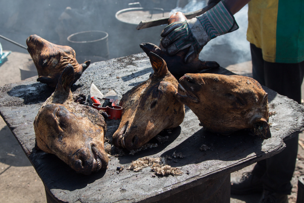 Traditional smiley sheep heads delicacy