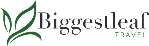 BLT Logo